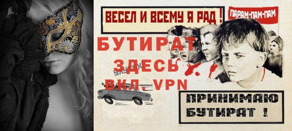 индика Пестово